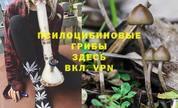 гашишное масло Заводоуковск